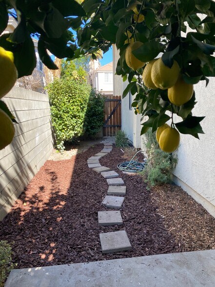 Private Yard - 419 California St