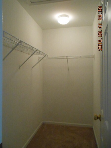 Building Photo - Renovated Three Bedroom Townhome in Townes of Buckwalter