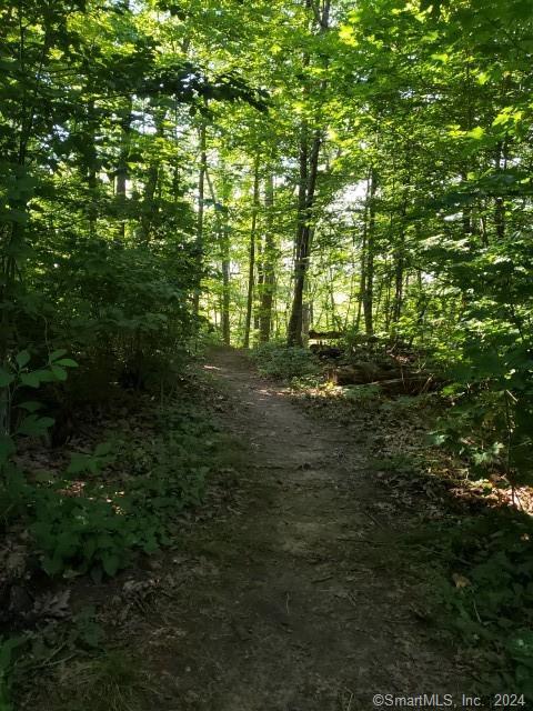 Building Photo - 9 Beech St