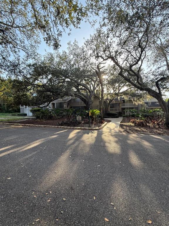 Building Photo - 821 Pinewood Ct