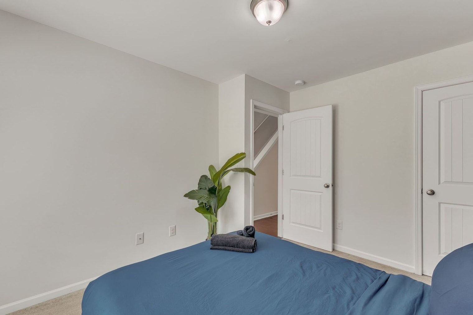 Building Photo - 2622 Wolf Cub Ct