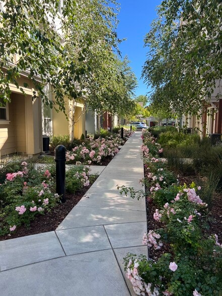 community - 918 Arietta Dr