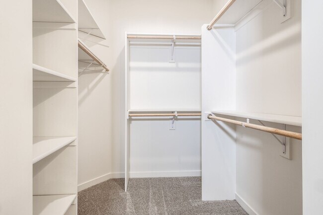 Building Photo - Beautifully Built 4 Bed Duplex!