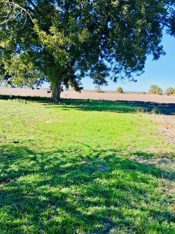 Building Photo - 201 West Ave N