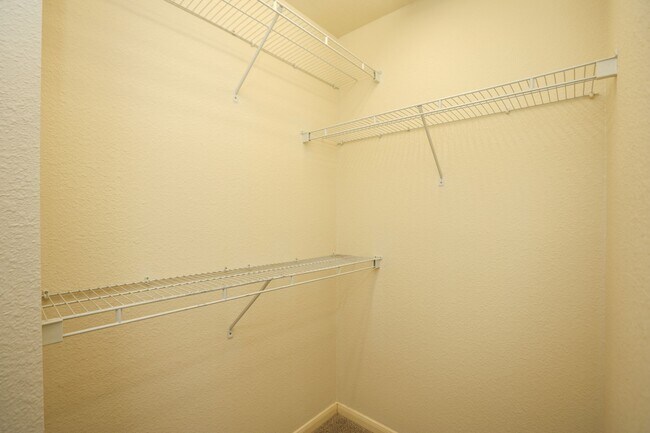 Building Photo - 1620 Grable Cove Ln
