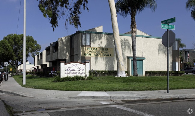 Primary Photo - Plum Tree Apartments