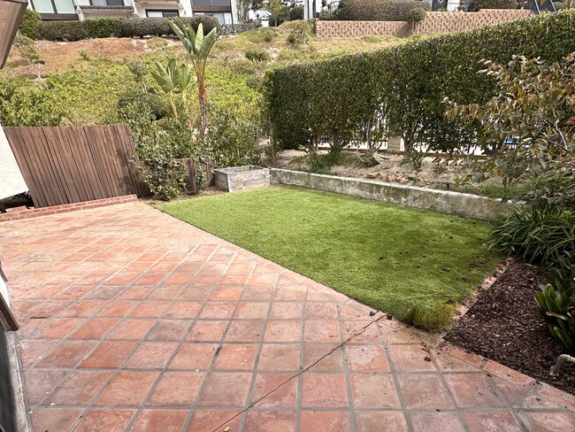 Patio and Yard (turf grass) - 1009 Santa Helena Park Ct