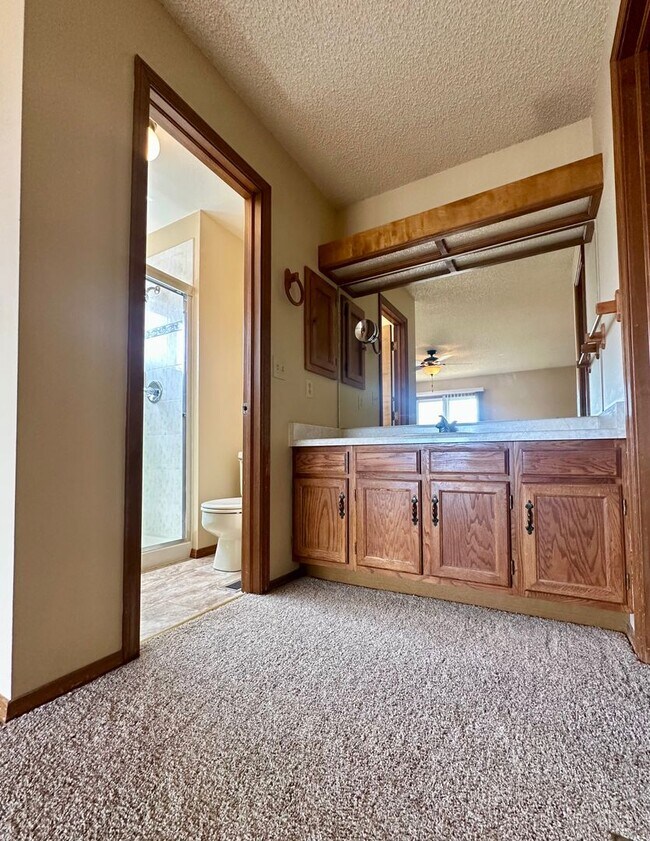 Building Photo - Spacious 4BD w/ A/C in Desirable Briargate...