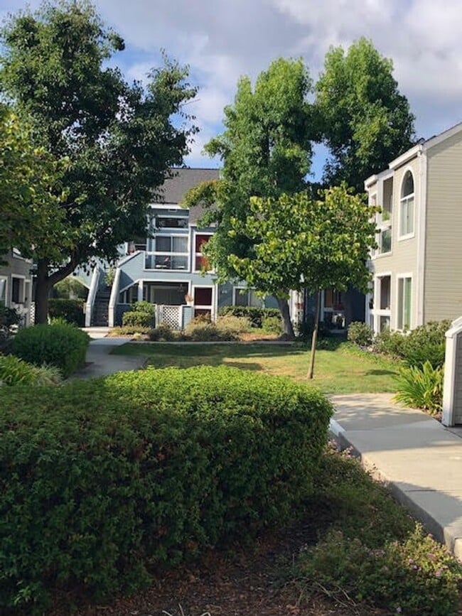 Building Photo - Desirable Redwood Shores Townhouse