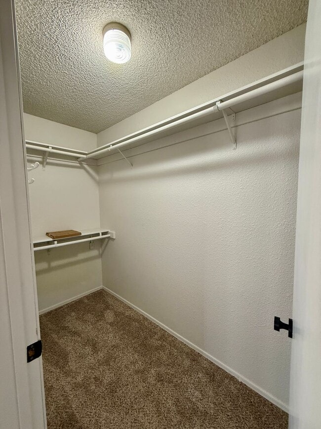 Building Photo - 10236 S Del Rico