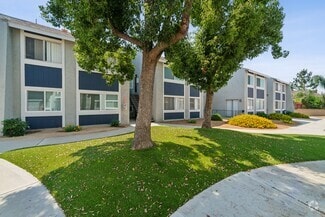 Building Photo - Bevia Apartments ||