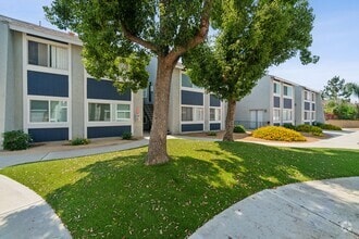 Building Photo - Bevia Apartments ||