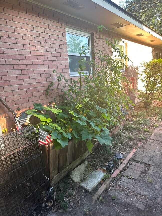 Nice garden by front door - 10045 Devonshire Dr