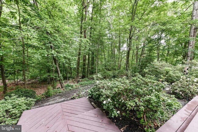 Building Photo - 10428 Collingham Dr