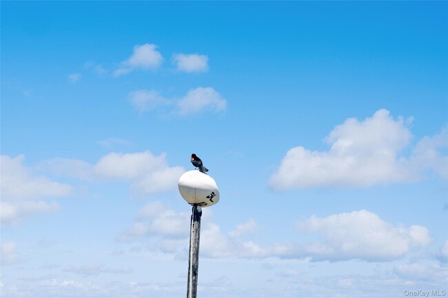 Building Photo - 846 Dune Rd