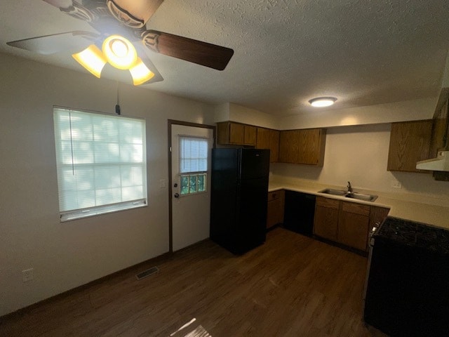 Building Photo - 937 Hidden Acres Ct