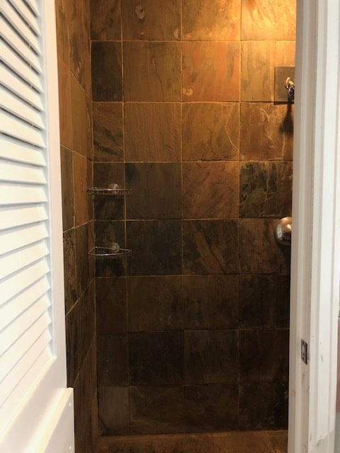 master bedroom shower - 14 Locust St