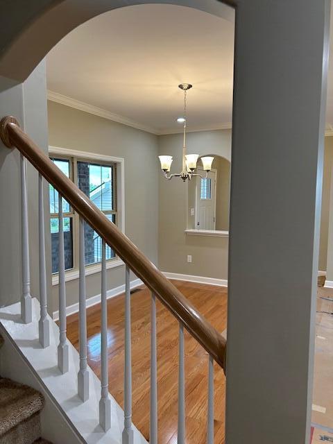 Building Photo - 3324 Polo Club Blvd