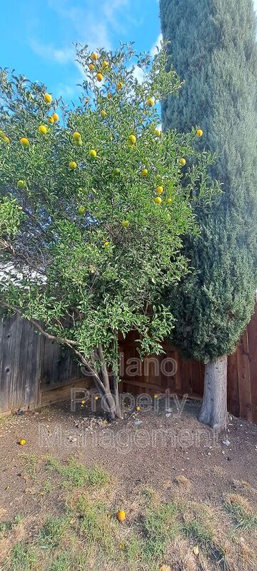 Building Photo - 355 Spindrift Way