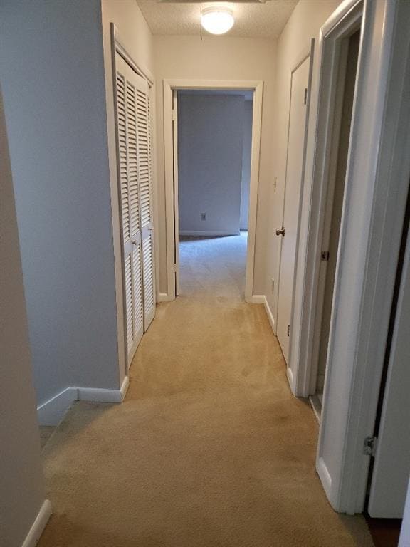 Building Photo - 1247 Druid Knoll Dr NE