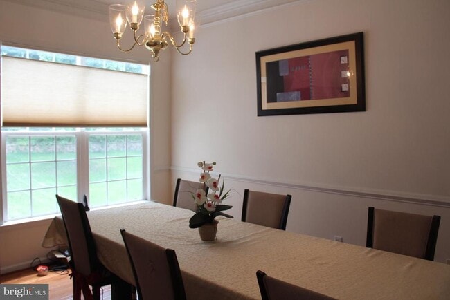 Primary Photo - 134 Pendula Ct