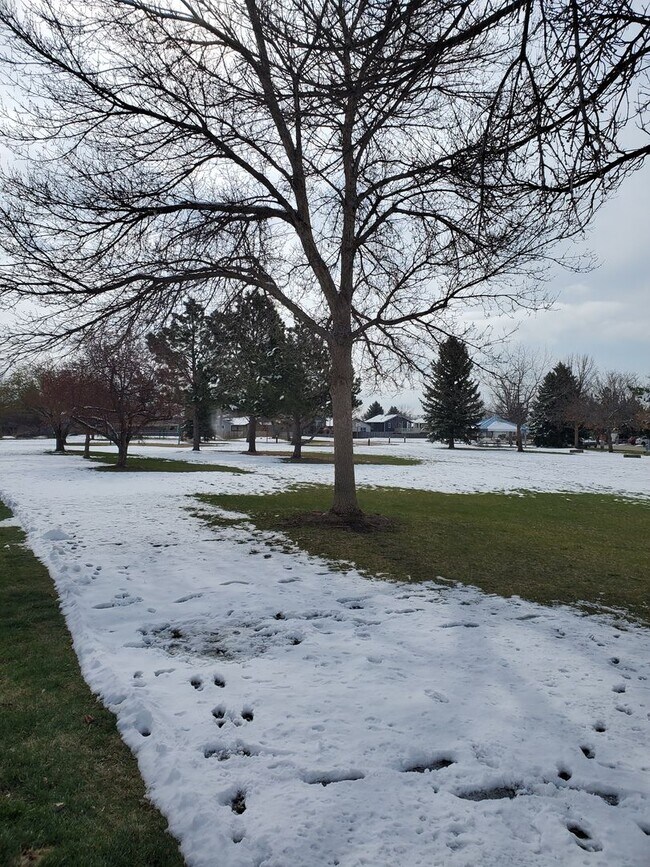 Building Photo - 4B/2B Home with Attached Garage in Longmont Ready for June!