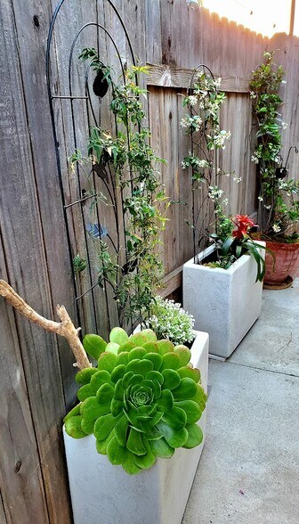 Building Photo - 2191 Canyon Dr