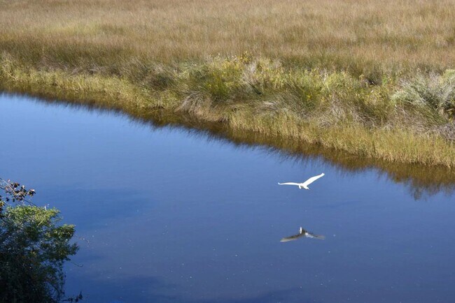 Building Photo - FURNISHED Bayou-Front Living Just Minutes from Downtown Ocean Springs!