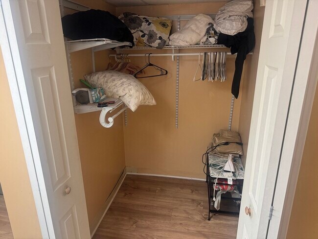 Building Photo - 3 Herbert St