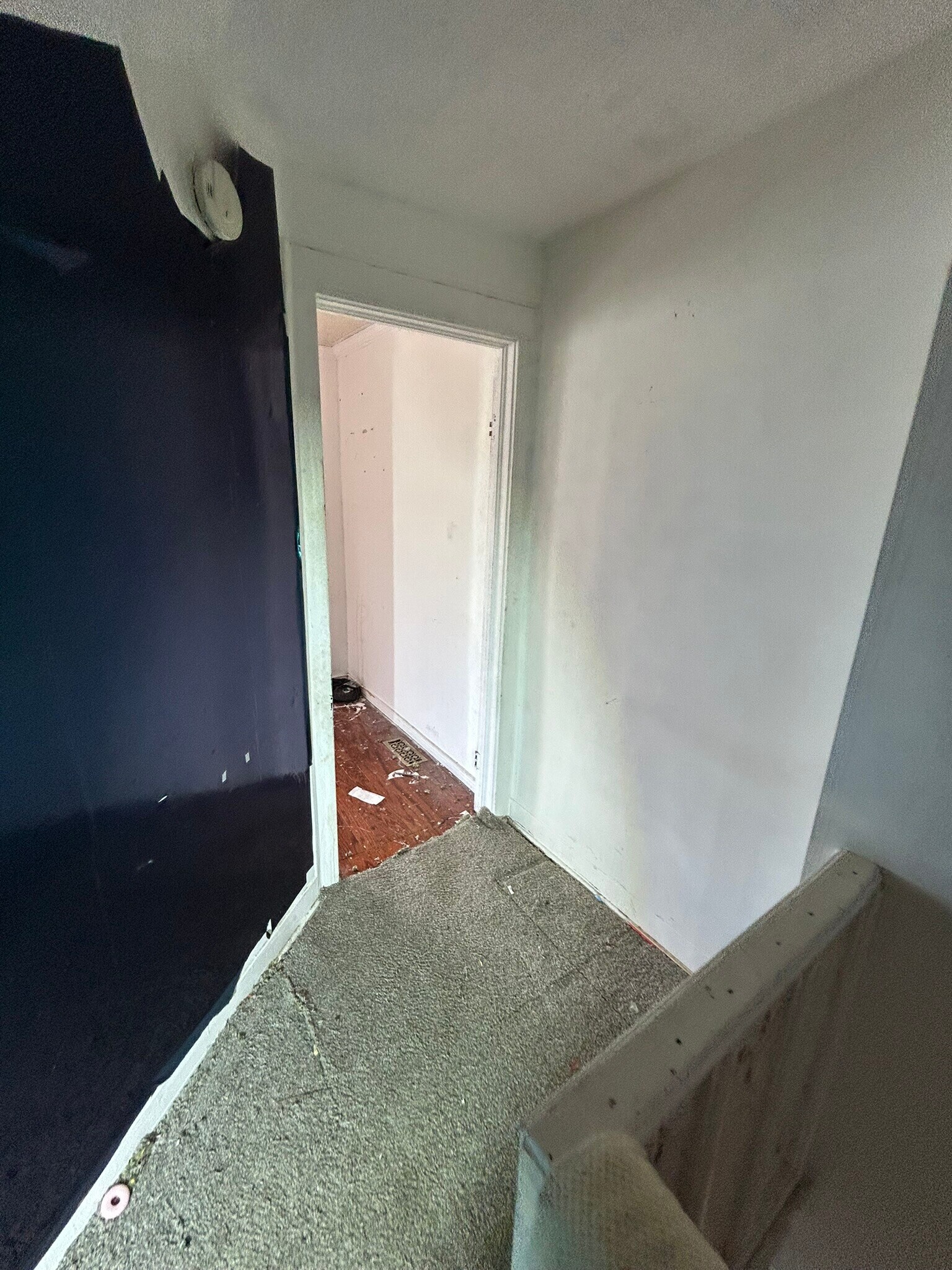 Building Photo - 4330 Blair Ave