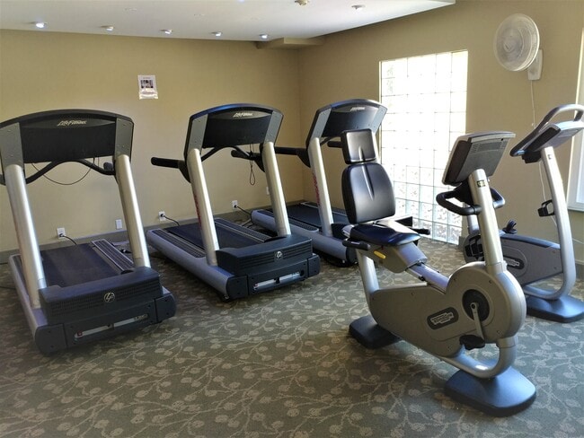 Fitness Center - 3520 Lebon Dr