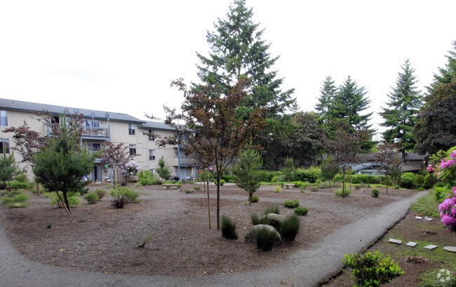 Courtyard - The Court at Crossroads Apartments