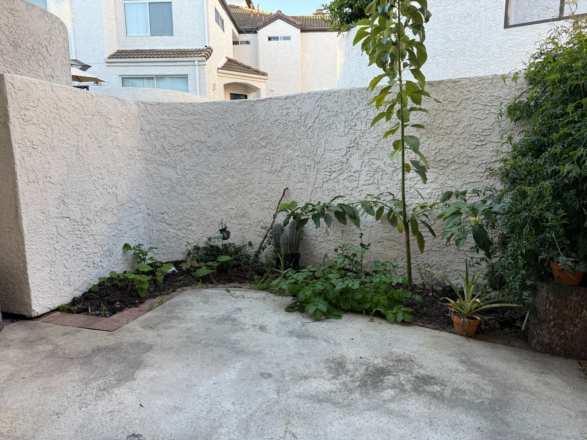 Building Photo - 13133 Le Parc