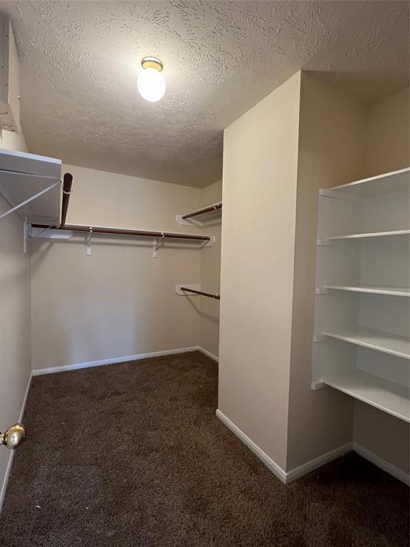 Building Photo - 4031 Clayton Bend Ct