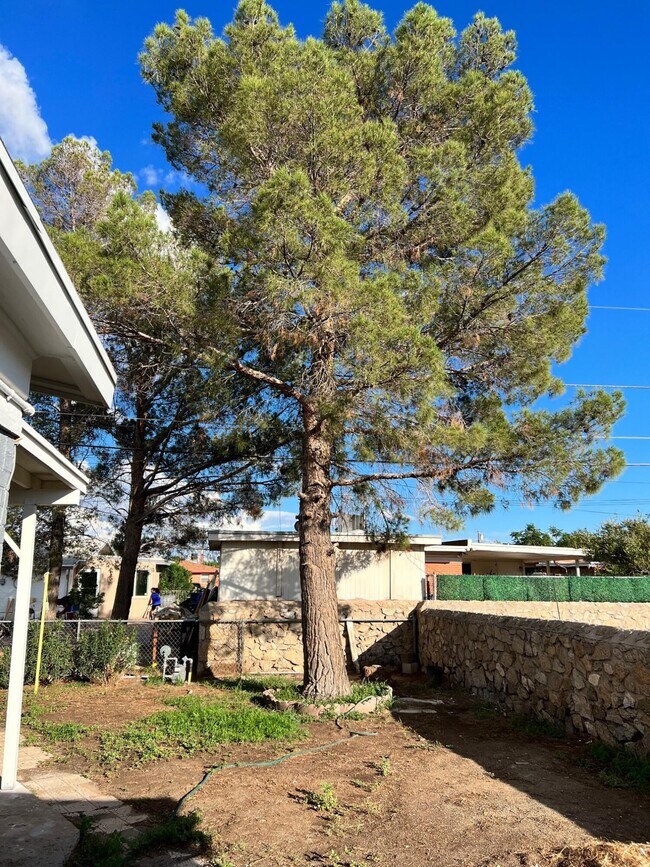 Building Photo - 202 Mango Rd