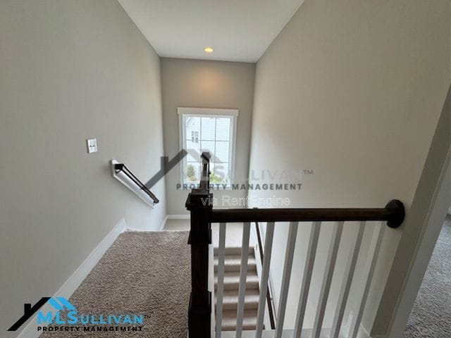 Building Photo - 2203 Crested Jay Dr