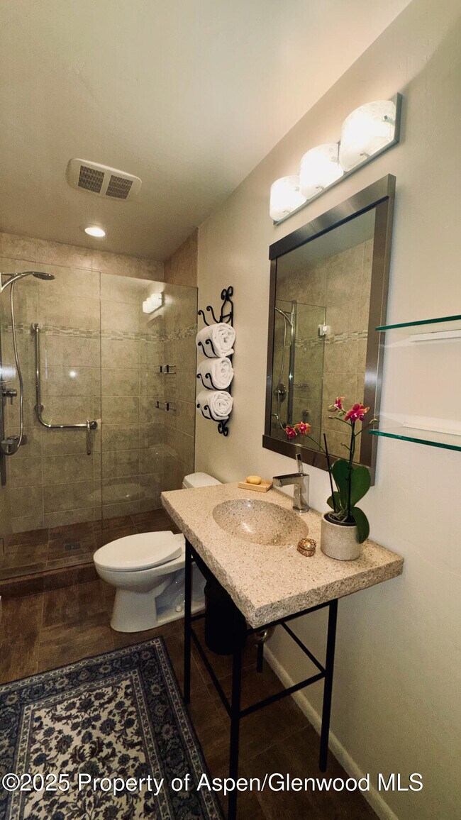 Building Photo - 302 Roaring Fork Dr