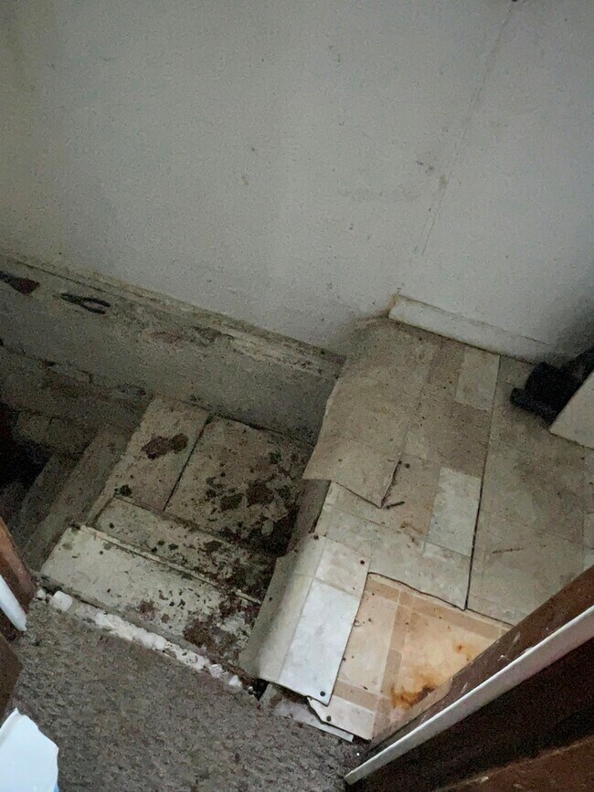 Building Photo - 403 E Division St