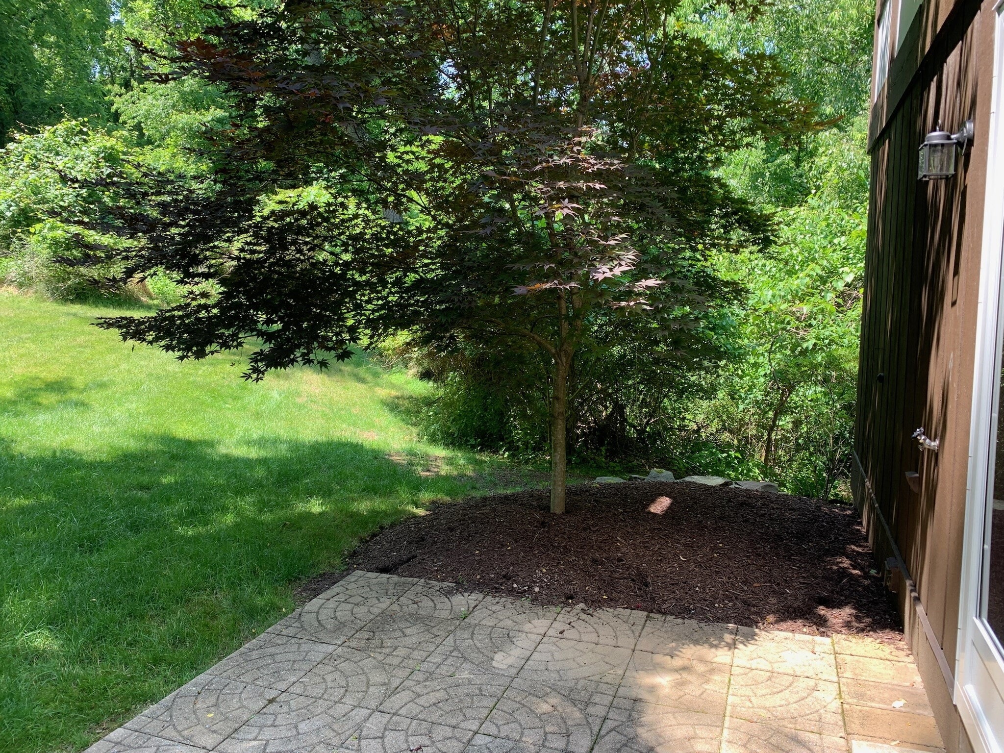 Ground floor patio - 111 Little Glen Dr