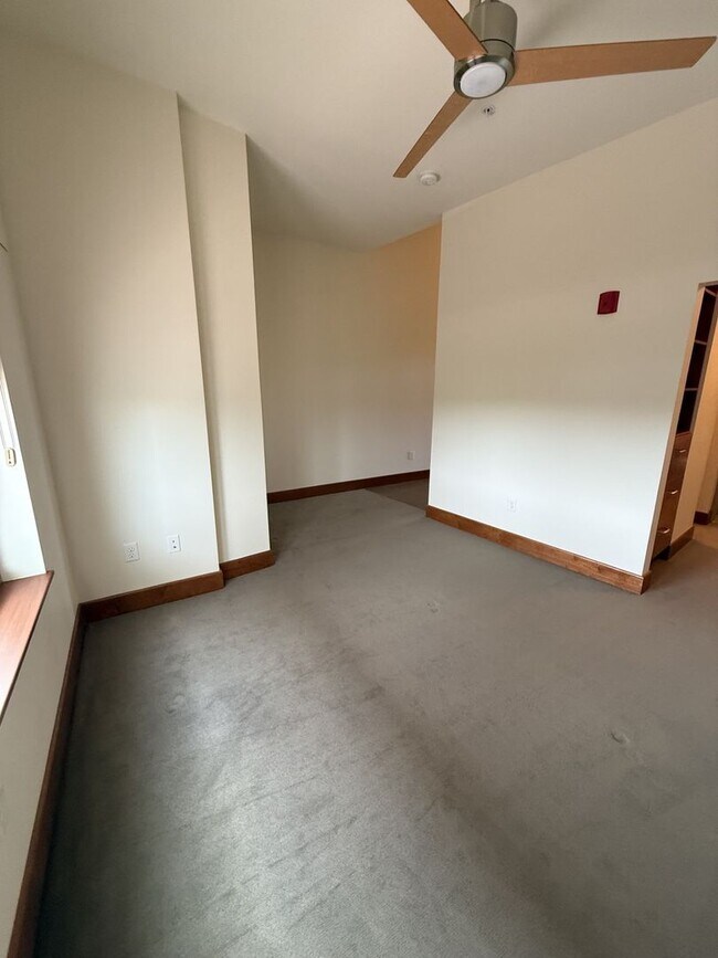 Building Photo - Luxury Apartment