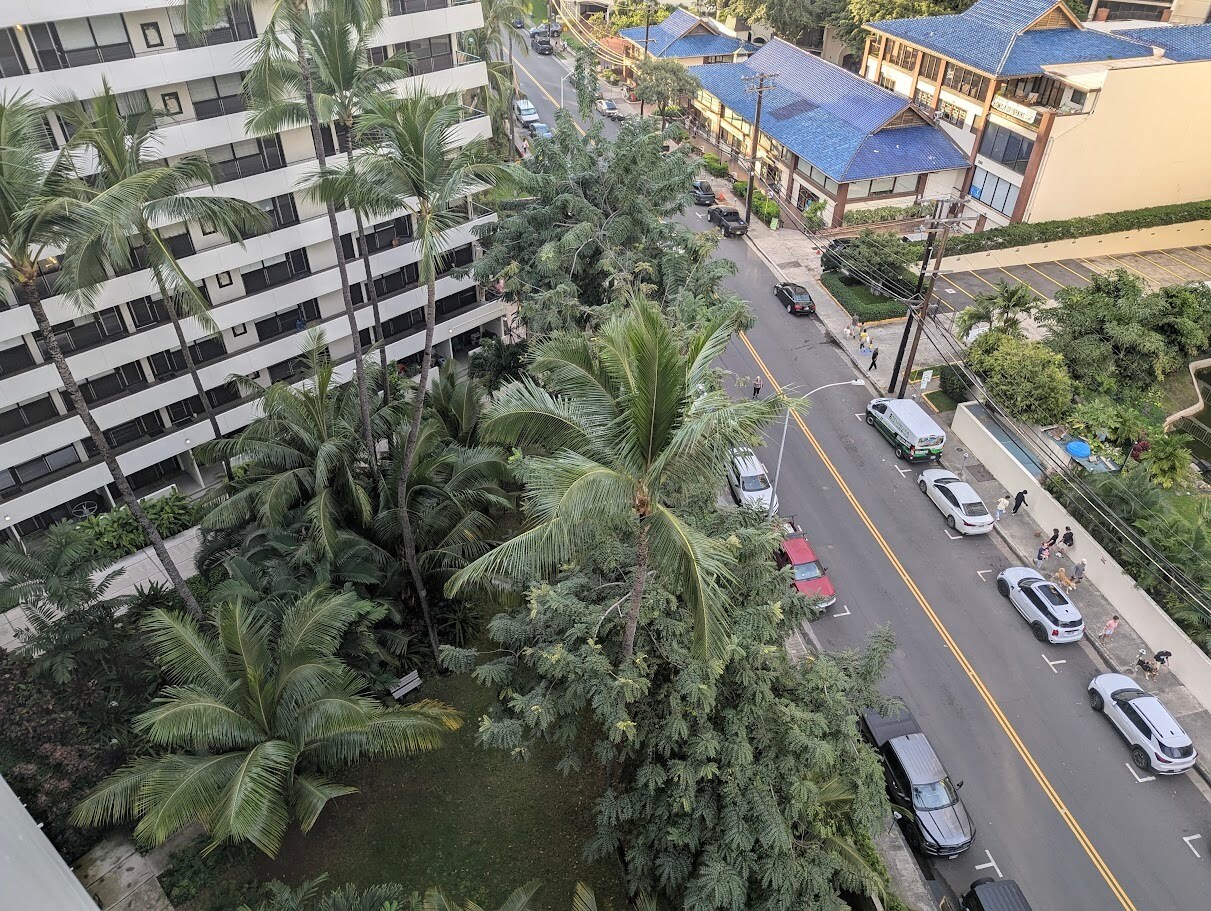 Building Photo - 425 Ena Rd