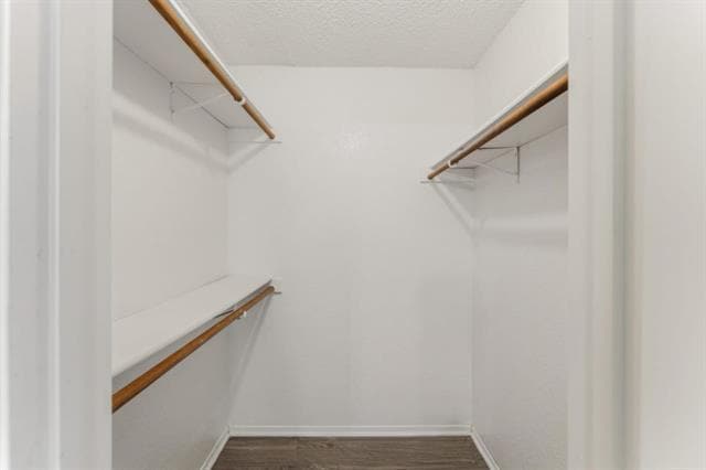Building Photo - 1809 San Rafael St