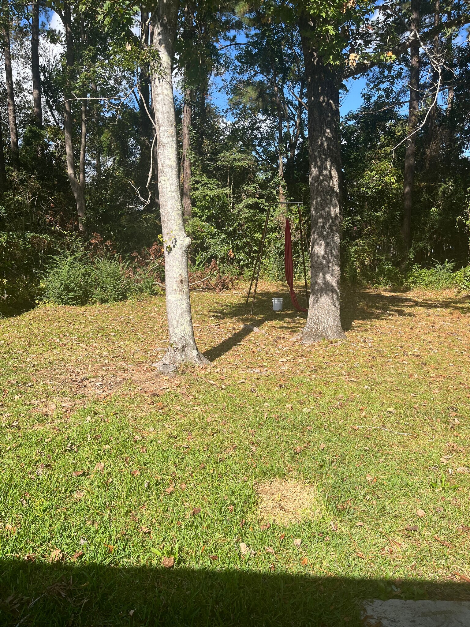 View of back yard - 4060 Whisker Pole