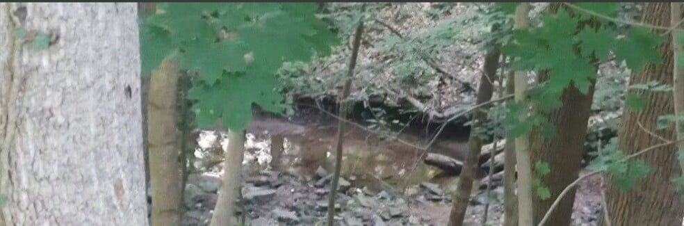 Waterview-Stream on property - 5445 N George Street Ext