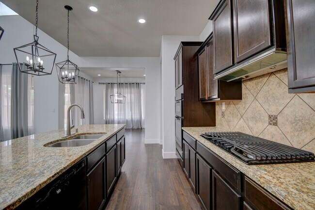 Building Photo - Beautiful Loma Colorado Home.
