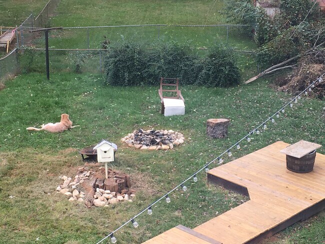 Building Photo - 912 Altavista Avenue