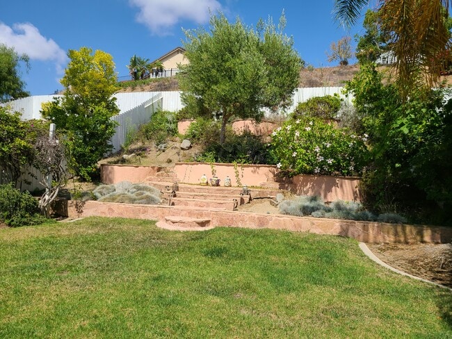 Yard - 1446 Portofino Dr