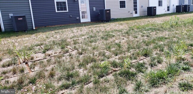 Building Photo - 186 Caterpillar Dr