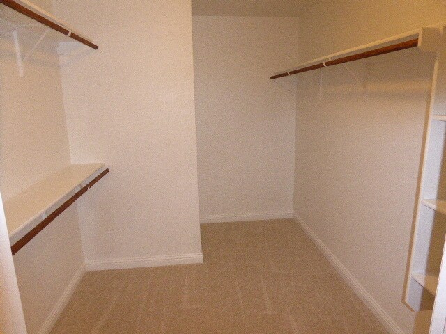 Building Photo - 107 Martin Creek Ln