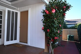 Building Photo - Very Cute 1 Bd/1Ba back half of duplex.